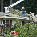 Singleton's Tree Service - Tree Service