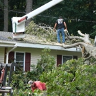 Singleton's Tree Service