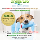Greenway Cleaning Solutions - Carpet & Rug Cleaners
