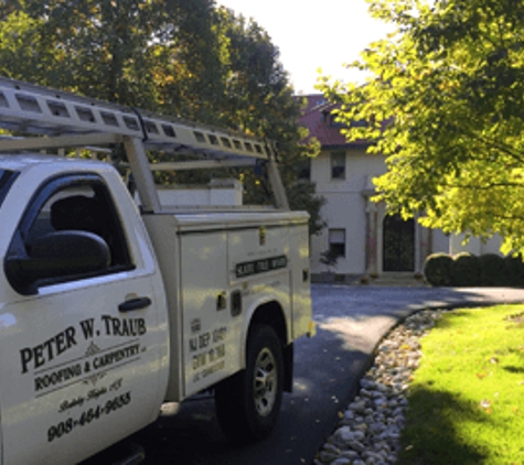 Peter W. Traub Roofing & Carpentry LLC - Berkeley Heights, NJ