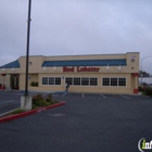Red Lobster