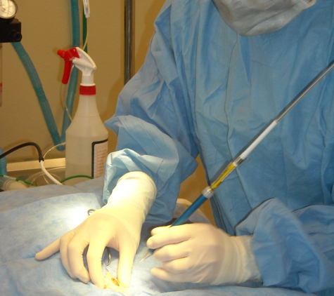 Shiloh Veterinary Hospital - Billings, MT. Surgical laser use instead of a scalpel, helps decrease pain and inflammation.