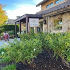 Silver Trident Winery Tasting Home