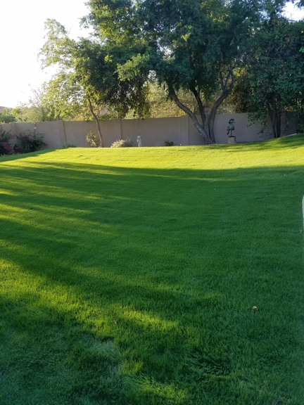 Handled Irrigation - Phoenix, AZ