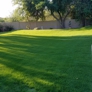 Handled Irrigation - Phoenix, AZ