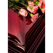 Gallery Image Number 6