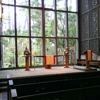 Church In The Forest gallery