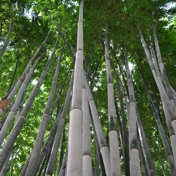 Gallery Image Number 6