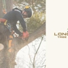 Longtree Tree Service gallery