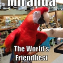 Kookaburra Bird Shop, LLC - Dog & Cat Furnishings & Supplies