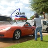 Cesar cleaning solutions gallery