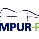 Tempur-Pedic Mattresses