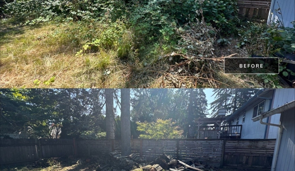 All Seasons Cleaning Services LLC - Vancouver, WA. Overgrowth removal