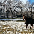 Abbington Farm - Horse Boarding