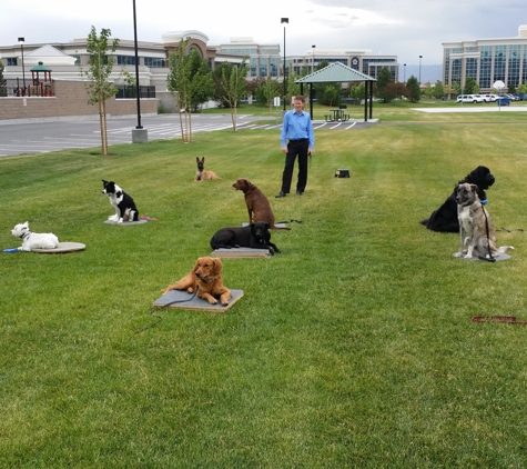 Dog Training Elite Salt Lake City - Sandy, UT