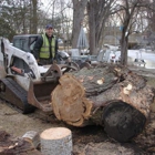 Stephenson Tree Care Inc