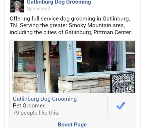 Gatlinburg Dog Grooming - Gatlinburg, TN