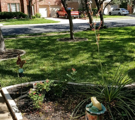 Adam's Tree Services and Landscaping - Austin, TX