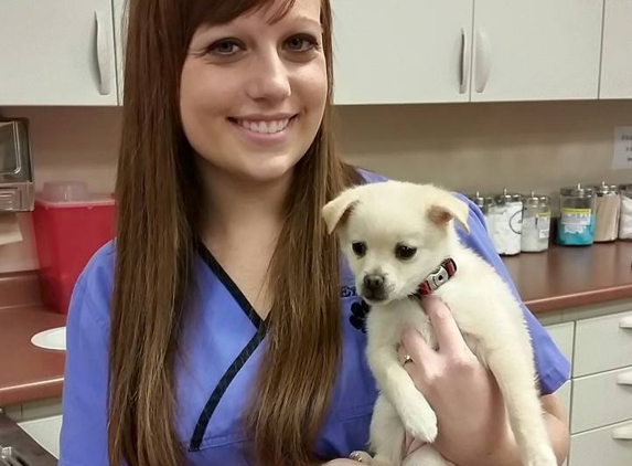 Dupont Veterinary Clinic - Fort Wayne, IN