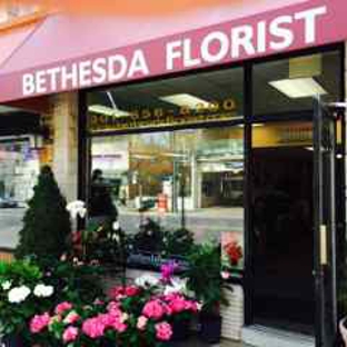 Bethesda Florist - Bethesda, MD