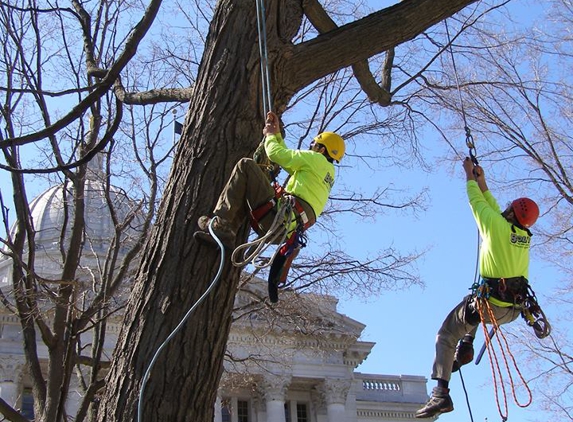 Boley Tree & Landscape Care Inc - Middleton, WI