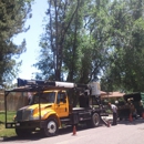 Mountain High Tree Lawn & Landscape - Tree Service