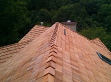 Gallery Image Number 5