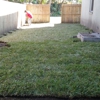 ProGro Lawns and Landscapes gallery