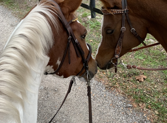 Sunset Riding STABLES....ADULT HORSE  BOARDING - Spring Hill, FL