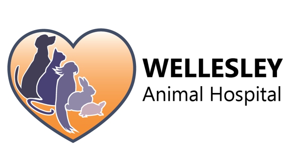 Wellesley Animal Hospital - Richmond, VA