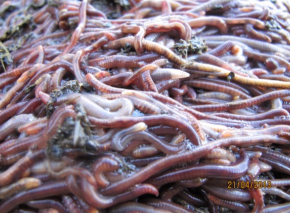 Nutrigold - Lake Barrine, QLD
