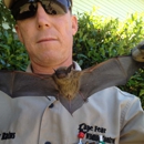 Cape Fear Wildlife Control, LLC - Animal Removal Services