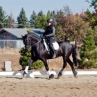 Schmidt Dressage