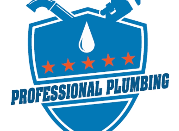 Professional Plumbing - Shoreline, WA