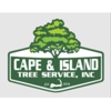 Cape & Island Tree Service Inc gallery