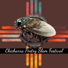 Chicharra Poetry Slam Festival gallery