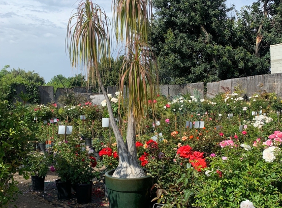 West Valley Nursery - Tarzana, CA