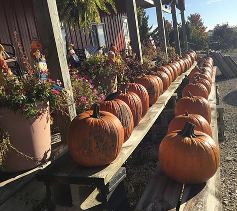 Anderson Tree Farm - Plainfield, IL