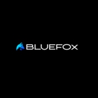 Blue Fox Remodeling