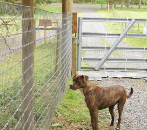 Animal Play Day Inc. - Tenino, WA