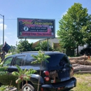 Arbor Specialists Tree Health Care - Tree Service