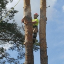 Joe's Tree Service - Tree Service