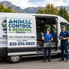 Animal Control & Removal Provo gallery