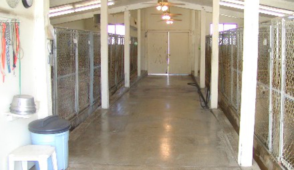 Don O'Brien Boarding & Training Kennel