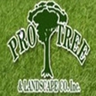 Pro Tree & Landscape Co Inc