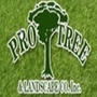 Pro Tree & Landscape Co Inc