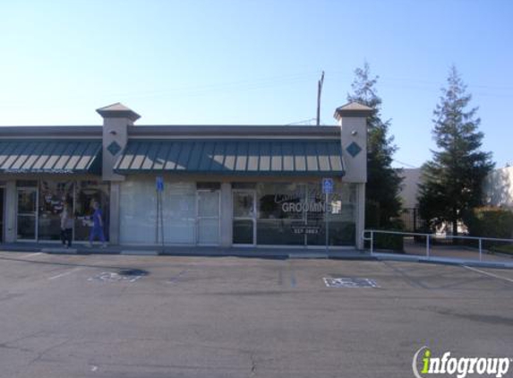 Canine Castle - Simi Valley, CA