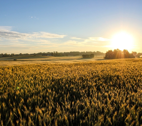 Stewarts Grain Trading - Inverell, NSW