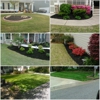 Morningstar Lawn Care gallery