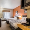 Sleep Inn & Suites Stafford - Sugarland gallery